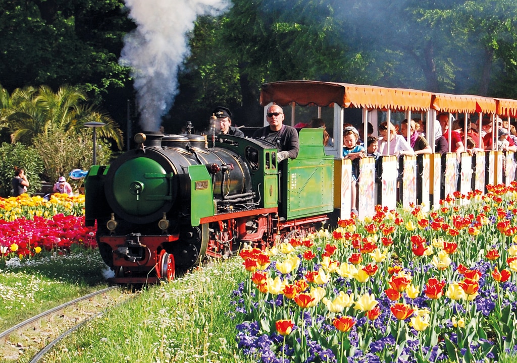 Dampflokomotive Springerle