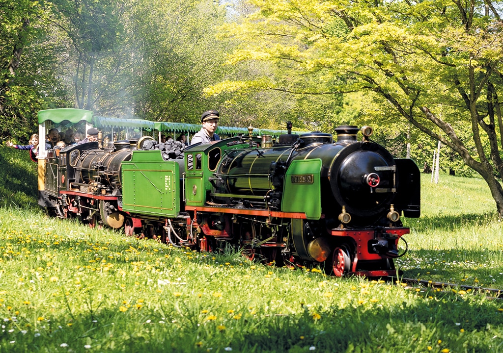 Dampflokomotive Tazzelwurm
