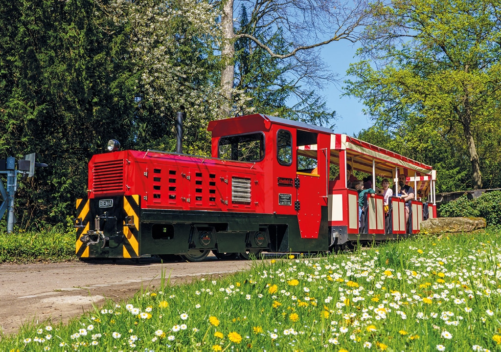 Diesellokomotive Schwoabapfeil